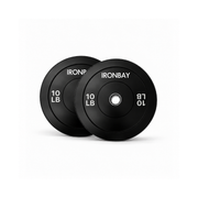 Pair of IRONBAY 10 lb black bumper plates with steel center inserts